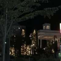 夜景もきれい。