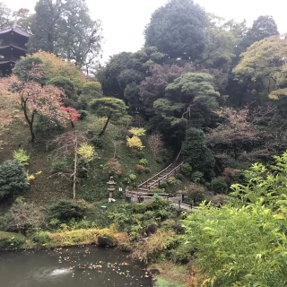 紅葉し始めたお庭2