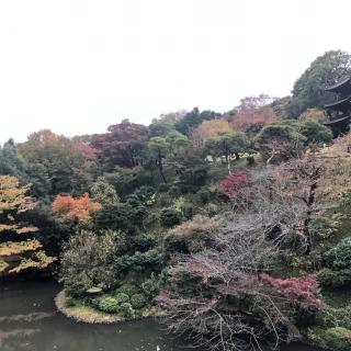 紅葉し始めたお庭