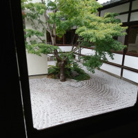 淀川邸の会場から見える庭