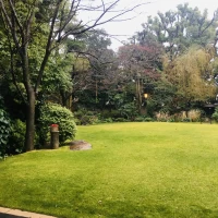広大なお庭です。全て天然芝。