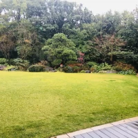 四季折々の木々が周りを囲んでいます。