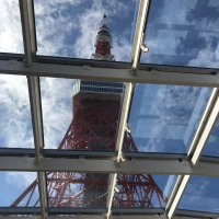 天気が良い日は最高！