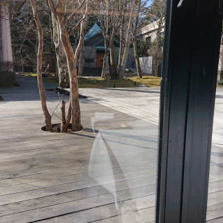 ガーデン