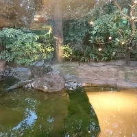 全面ガラスのチャペルから見たお庭の風景です