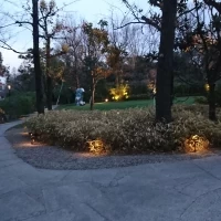 夜もライトアップされていて綺麗でした