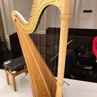 ハープがあり、生演奏がある