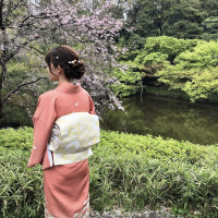 庭園には桜が綺麗に咲いていました。