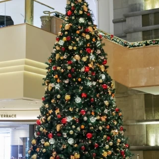 ロビーにある名物のクリスマスツリー