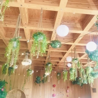 天井のデザインがオシャレ