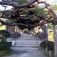 フォトスポットに最適な場所