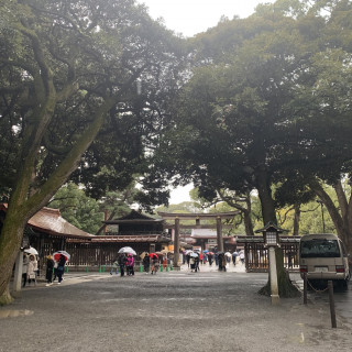 雨の明治神宮