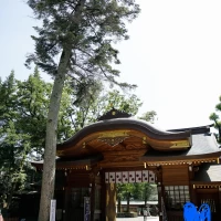 参進でこの門をくぐります