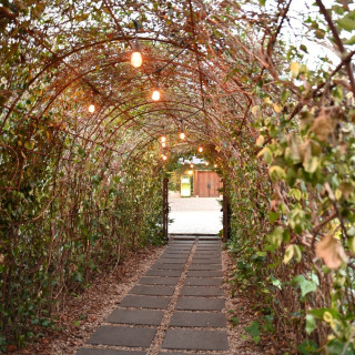 ガーデンチャペルの木々のトンネル