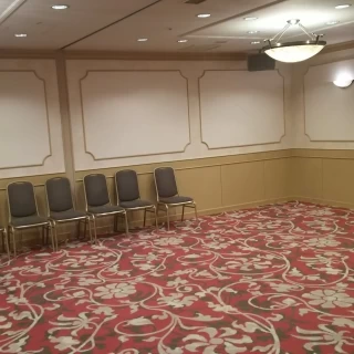 少人数向けコスモス