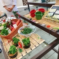 試食のお野菜を選ぶフェアをやってました