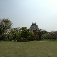 ガーデンからみた大阪城です。