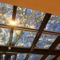 普段はレストランとして営業している会場
屋根から桜見えます