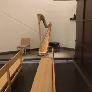 ハープです。