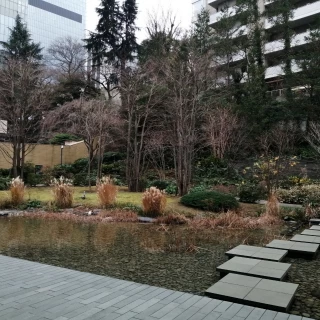 庭