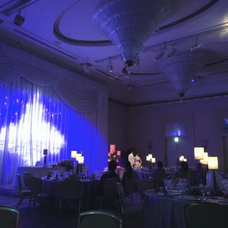 ラプンツェルの灯籠みたいな演出は素敵でした。