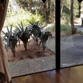 披露宴会場から
