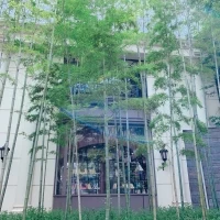 竹林