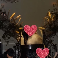 階段演出が可能
