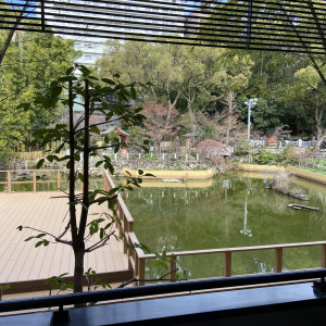 室内からの眺めです。|556393さんの生田神社会館の写真(967457)