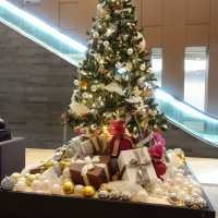 11月～12月はホテル入り口にクリスマスツリーがあります