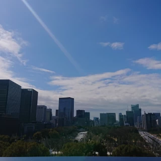 フラワーシャワーができるベランダからの眺めです。皇居とビル群