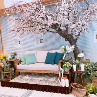 桜を取り入れたソファーコーディネート。