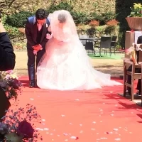 赤い絨毯にバラの花がとても映えます