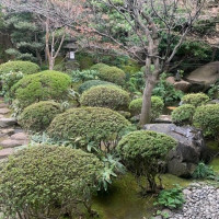 日本庭園。