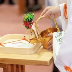 親族盃固めの儀式|557436さんの大神神社の写真(1244739)