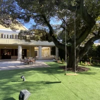 イタリア館の特徴である大きな木が魅力的です。