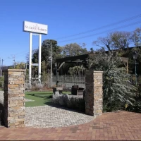 晴天で凄く映えます。