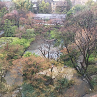 5階から見た日本庭園の景色