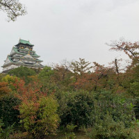 会場から見えた大阪城と緑の景色。