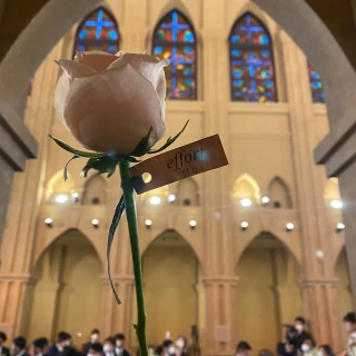ダーズンローズセレモニーをしました。