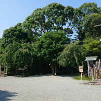 挙式会場、神社