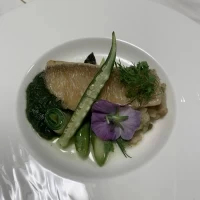 メインの魚料理です