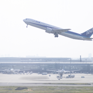 当日の飛行機|559025さんのスカイウエディング羽田（羽田空港ウェディング）の写真(1058026)