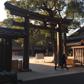 明治神宮。先ずはこの鳥居をくぐり改まった気持ちに。