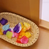 チャペルのフラワーシャワーで使ったものです。