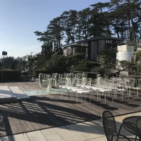 松の木も素敵
