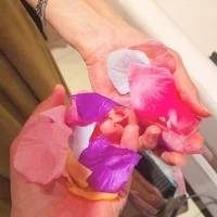 フラワーシャワー