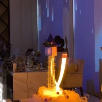 2人で光液体を入れるラプンツェルの演出