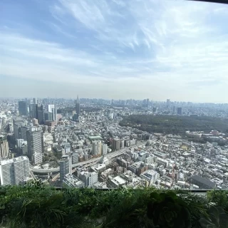 披露宴会場からの景色