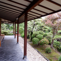 日本庭園には茶室があり、前撮りや結納などにも使えます